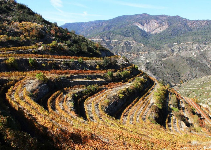 L'évolution de vin d'hier a aujourd'hui